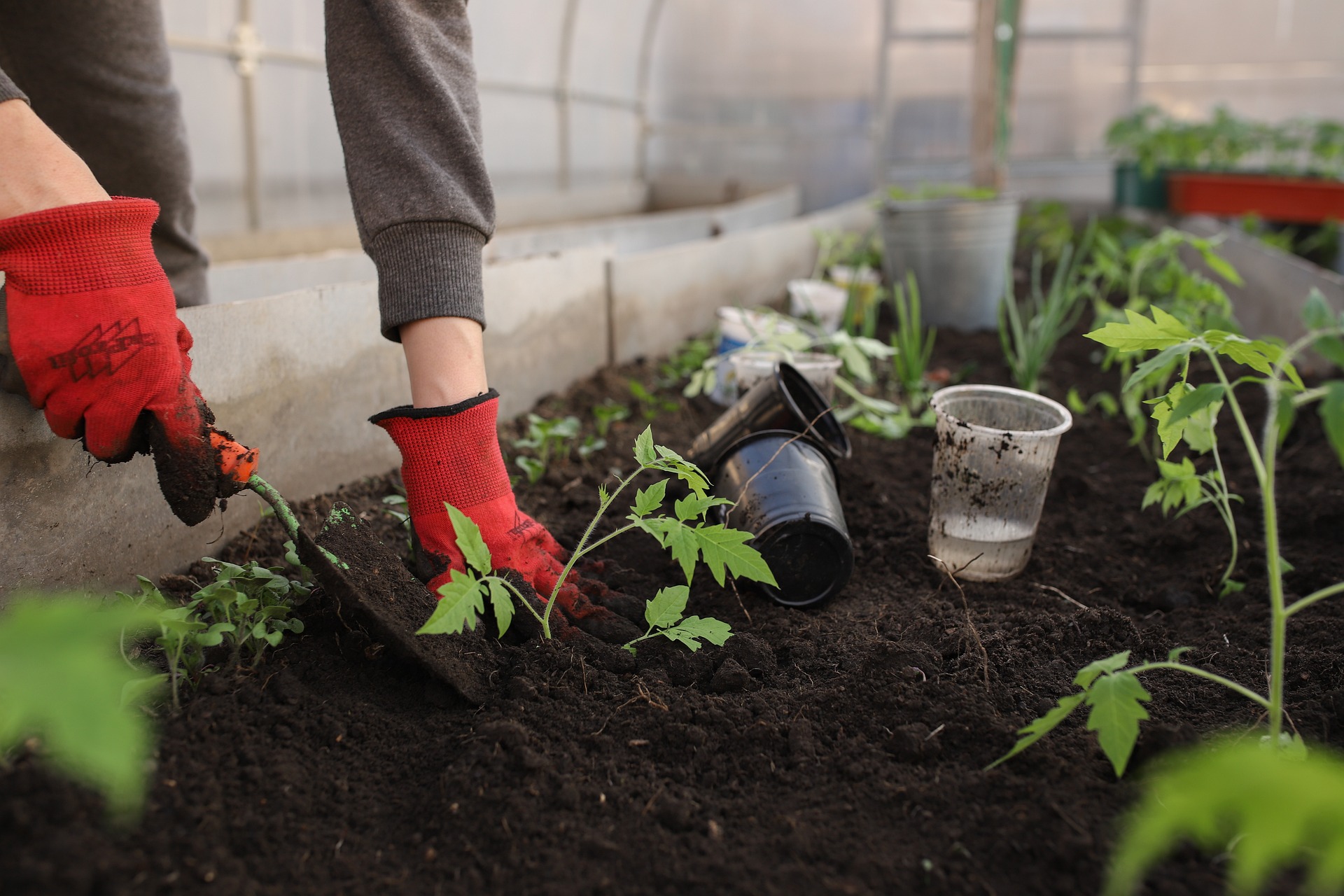 How to Store Potting Soil: Best Beginners' Guide