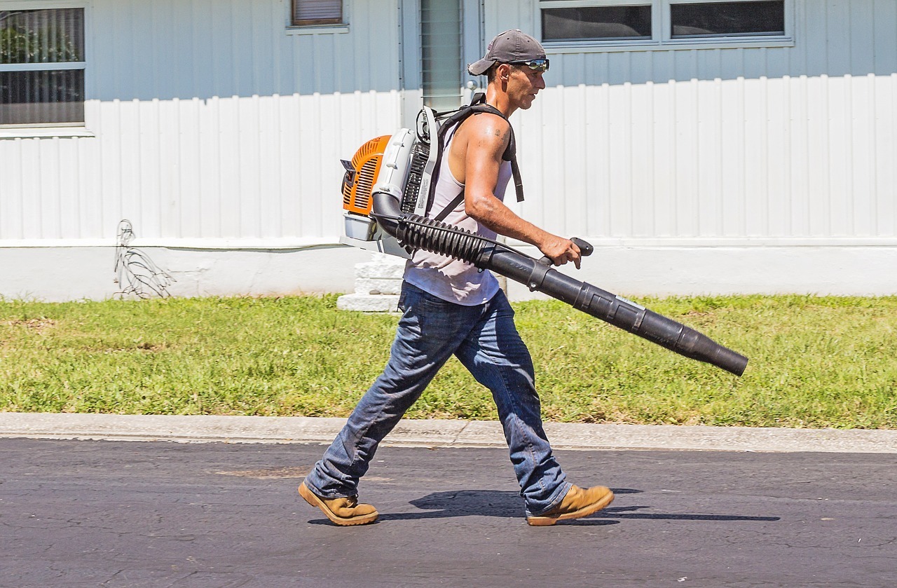 Best Backpack Leaf Blower For the Money: Reviews & Buying Guide