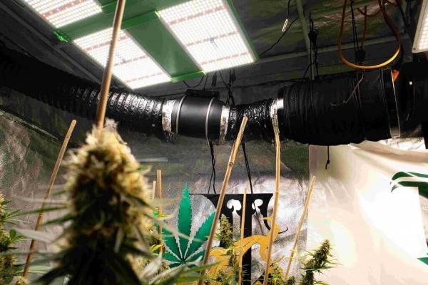 Best Carbon Filters for Growing| Top 10 Picks