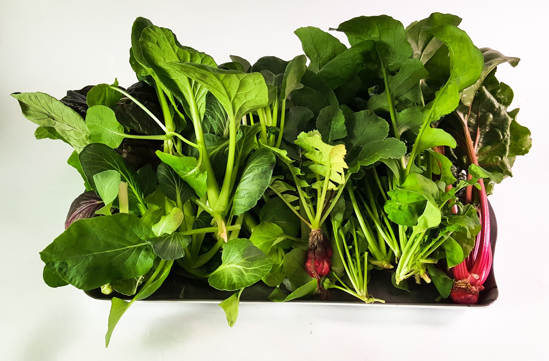 Best Hydroponic Nutrients for Vegetables | Top 8 Nutrients