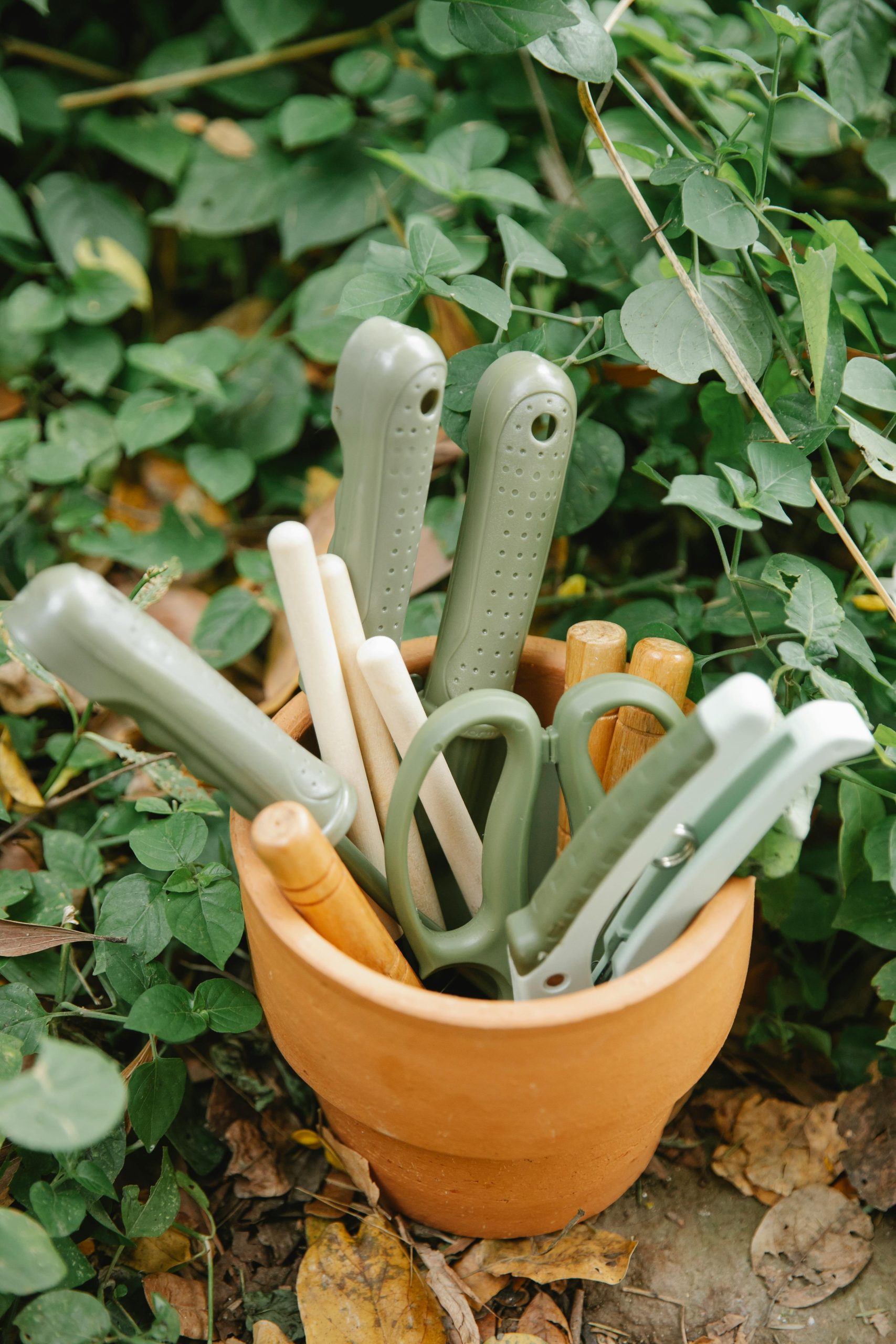 Garden Supply Guide- Top Supplies for a Garden