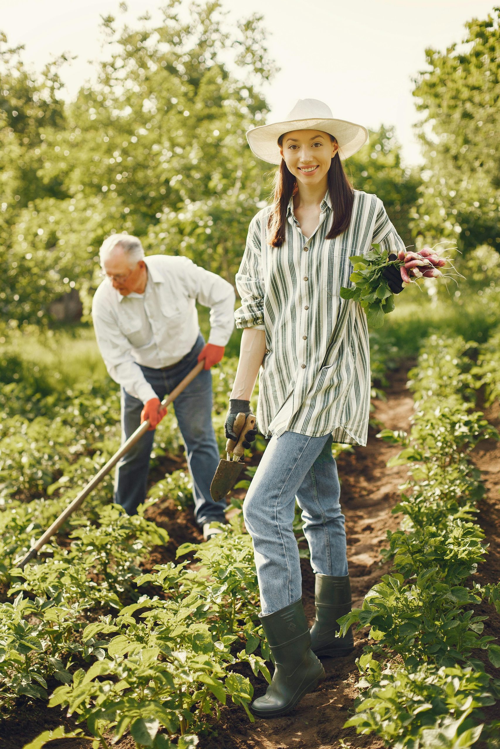 Home Gardening Guide| Enhancing Food Security