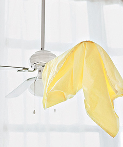 cleaning ceiling fan blades
